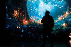 20250407-IC7A2172-Enhanced-NR